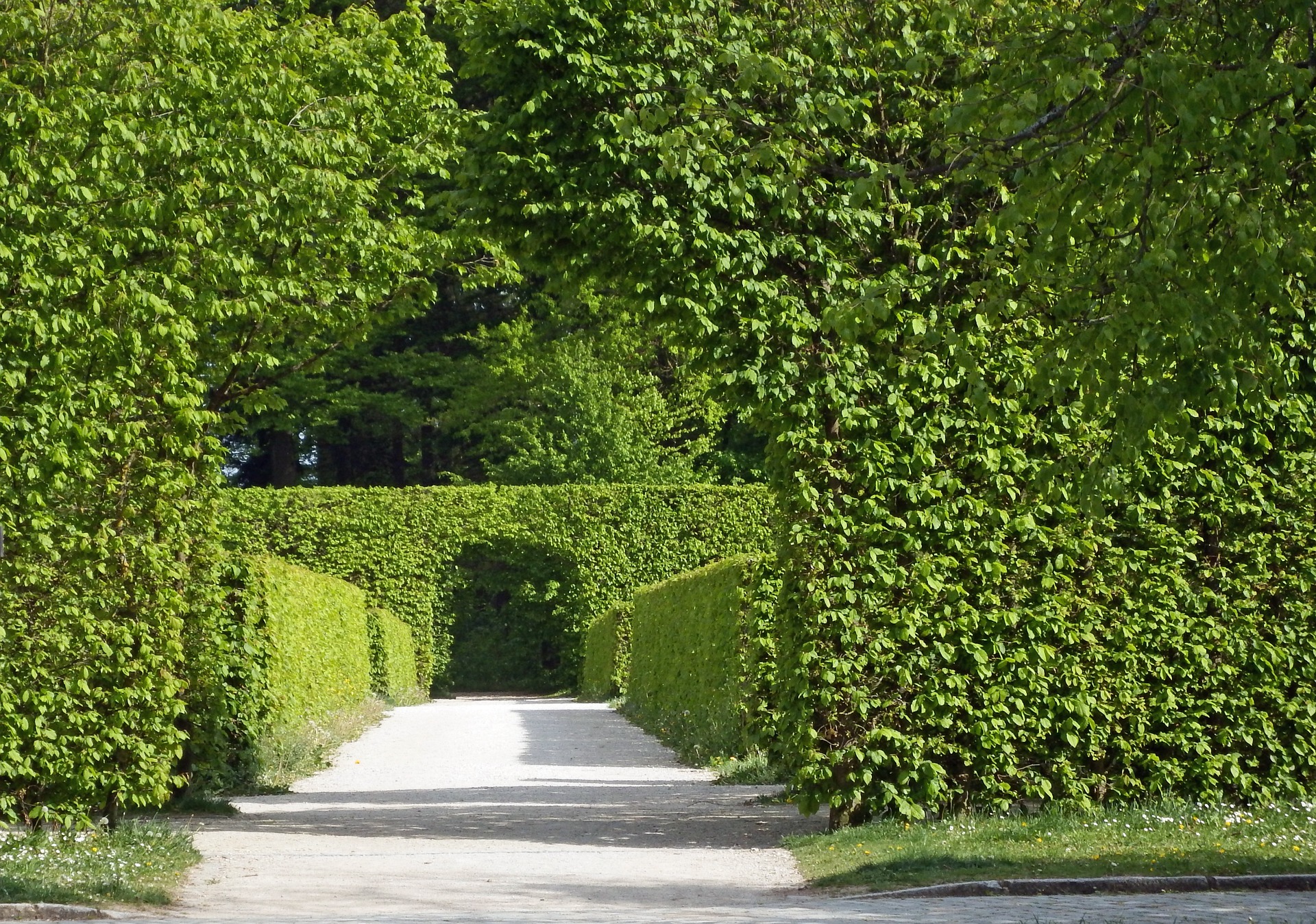 Tunel ogrodowy — jak można go wykorzystać, by robił wrażenie?