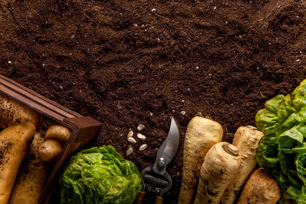 Czy warto stosować kompost w uprawie owoców i warzyw?