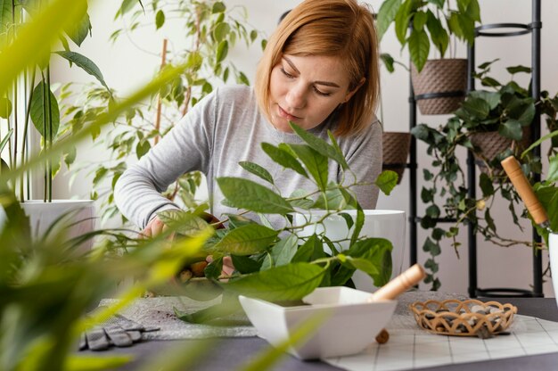 Jak wykorzystać naturalne kosmetyki do pielęgnacji roślin w domu?