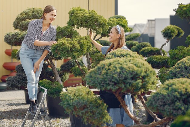 Ożyw swój ogród dzięki odpowiedniemu doborowi drzew i krzewów