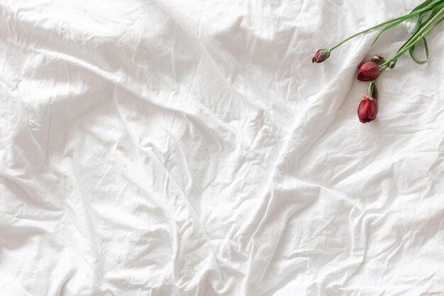 Jak wybrać idealną pościel dla osób z wrażliwą skórą?