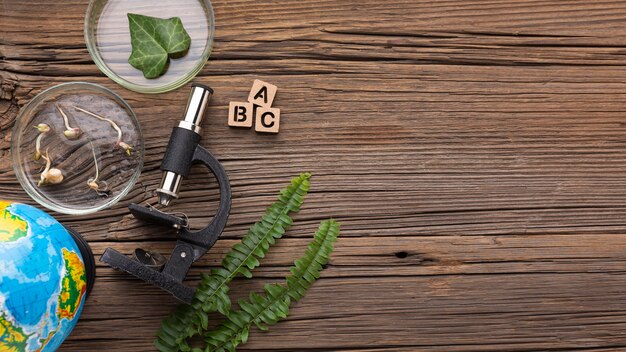 Trendy w Świecie Chemii Gospodarczej: Jak Europejskie Innowacje Kształtują Rynki Globalne