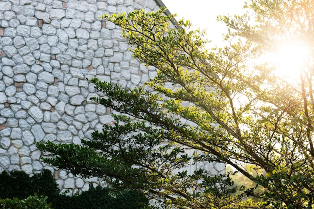 Jakie korzyści przynosi wybór naturalnych materiałów do aranżacji przestrzeni zewnętrznych?